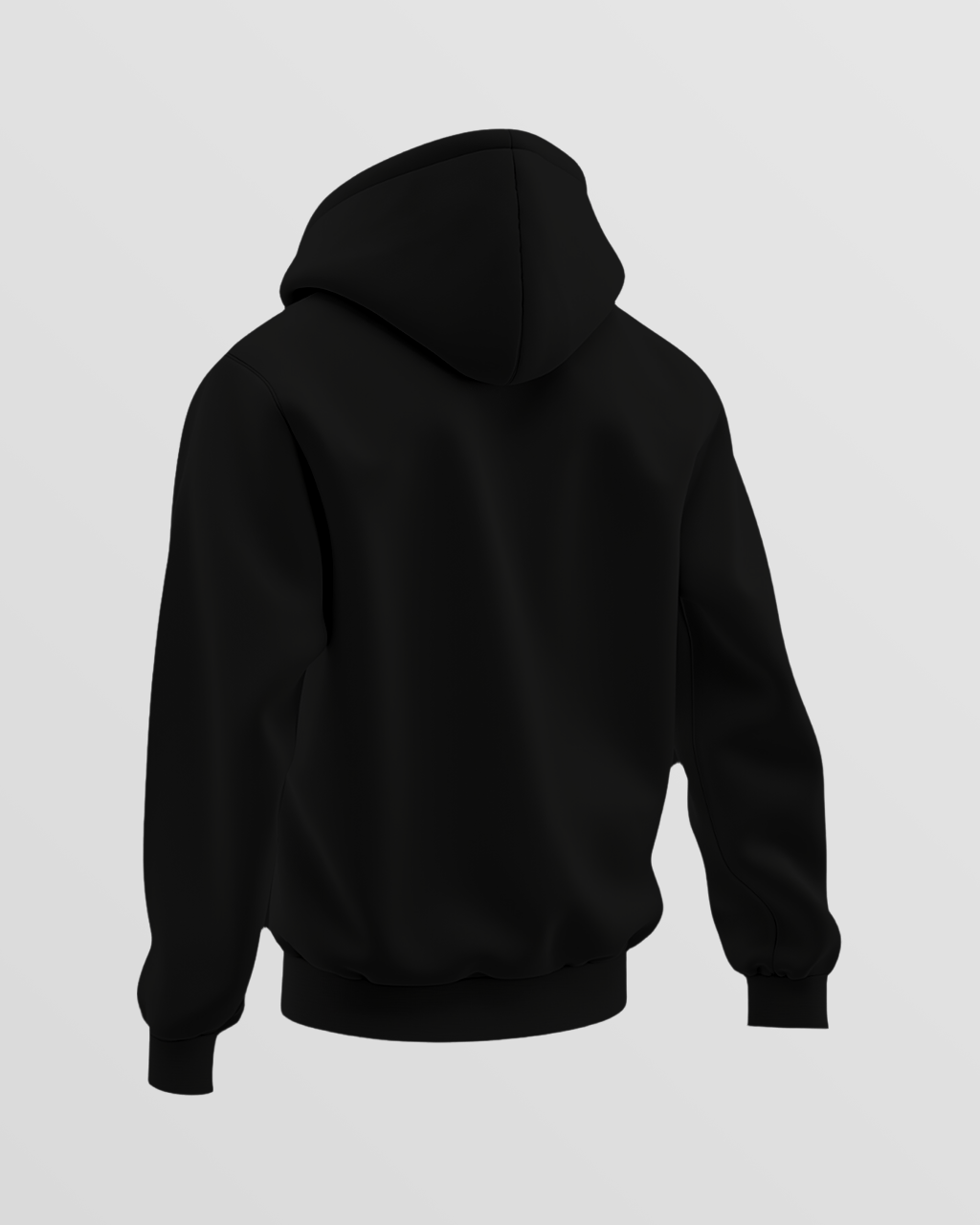 BIG Basic Hoodie 2026