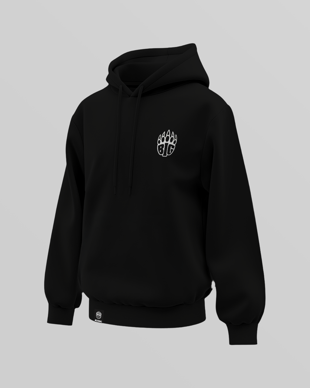 BIG Basic Hoodie 2026